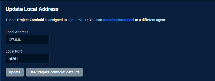 playit local address